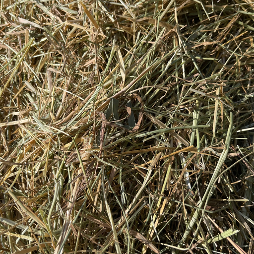 Foin naturel Français