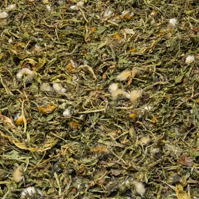 Feuille de pissenlit avec fleur