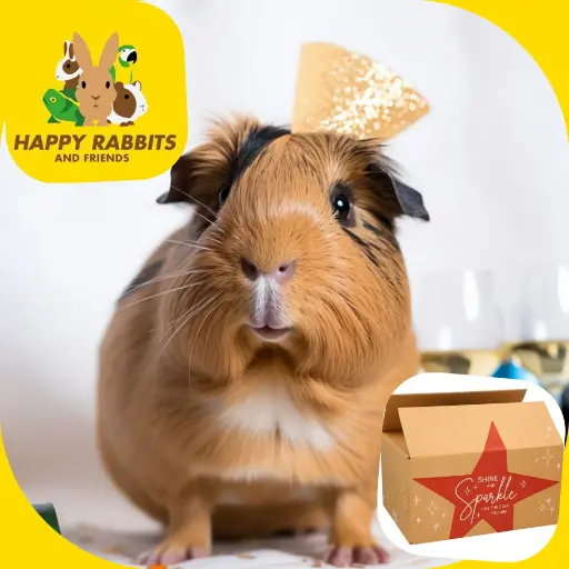Cadeaupakketten - Kerstthema - Cavia