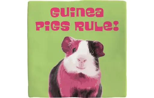 Decorative tile - Guinea pig
